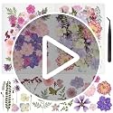 50pcs Dried Pressed Flowers Kit Real Natural Flowers for Resin Jewelry DIY Craft