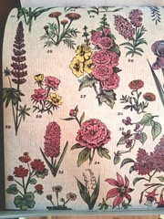 50 Pgs Detailed Beautiful Floral Sticker Book & Eph Paper 22pgs & 375 Stickers