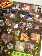 Cat Sticker Book, 30 Pages Over 800 + 10pcs Creative Kawaii Style 1
