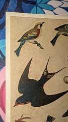Vintage Hallmark Stickers Birds 1 sheet