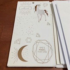 The Happy Planner Loose Partial Sticker Pages 120 Count