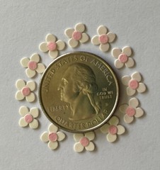 PINK IMPATIENS FLOWER Embellishment(12pc)Jolee’s •Garden•Plant•Spring•Wedding