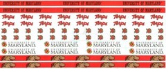 University of Maryland Terrapins Scrapbook Kit: paper & stickers
