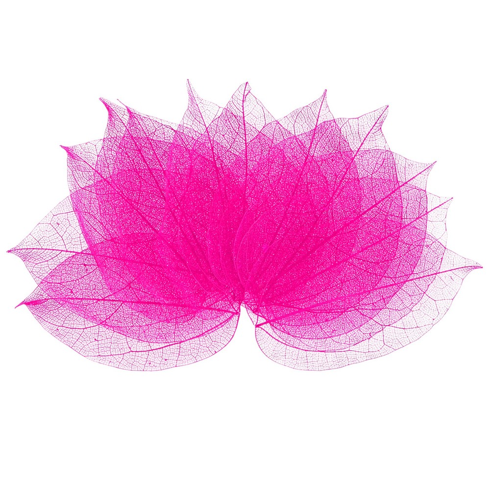 100-Pack Skeleton Leaves, Natural Rubber Tree Leaves Vein[7-9cm, Rose Red]