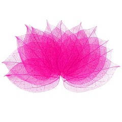 100-Pack Skeleton Leaves, Natural Rubber Tree Leaves Vein[7-9cm, Rose Red]