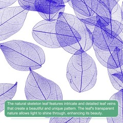 100-Pack Skeleton Leaves, Natural Rubber Tree Leaves Vein[4-6cm, Purple]
