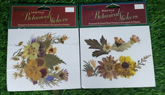 6 Darice Botanical Stickers – REAL Pressed/Dried FLOWERS
