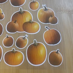 Pumpkin Stickers Realistic Halloween Thanksgiving Fall Autumn Clear Sheet Vtg