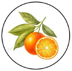 ORANGES FRUIT ENVELOPE SEALS LABELS STICKERS PARTY FAVORS