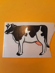 vtg 80’s Gordon Fraser? cow sticker module *restored* *damaged*