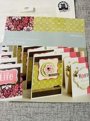 CTMH Scrapbooking & Other – Tombow-Paper-Embellishments-Tools-Ivy Lane Kit