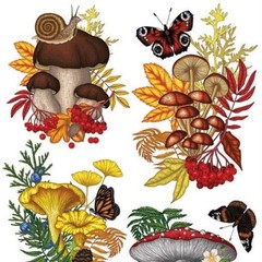 Violette Stickers – Mushrooms – 2 Mushroom Terrarium Sticker Sheets – Scrapbooks