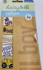 Daisy Hill Boy Vellum Quote Swatch 24 Pages – New