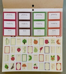 Lot of School Scrapbook Paper & Stickers! 30+ Pgs, Jolee’s Boutique, Sticko, Etc