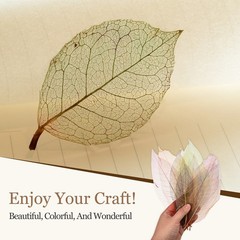 100 Pcs Skeleton Leaves for Scrapbook, 1.8-3.5 Inch, Black