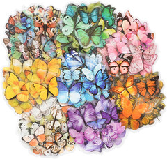 Butterfly Stickers Set (320 Pieces) Transparent Colorful Butterflies Resin Stick