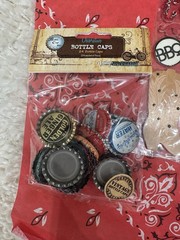 Mixed Brands Texas Western Country Scrapbooking Lot Stickers Brads Paper Metal