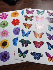 Two Small Sheets of Stickers – Butterfly and Flowers from American Greetings