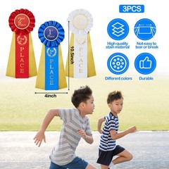 Award Ribbons Rosette Prize Set 1st 2nd 3rd Place 3 Pack