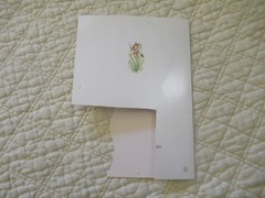 A Special Note of Thanks Gratitude Card (Scrapbooking, Paper Crafts, DIY)