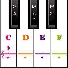 Lightweight Reusable Piano Keyboard Stickers – Effortless Note Identification