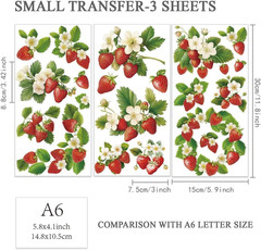 3pcs/Set Strawberry Rub on Transfers for Furniture and Crafts 6×12 inch Plant Fr