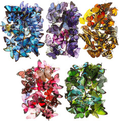 Butterfly Stickers Waterproof PET Decals for Scrapbooking Journals Planners