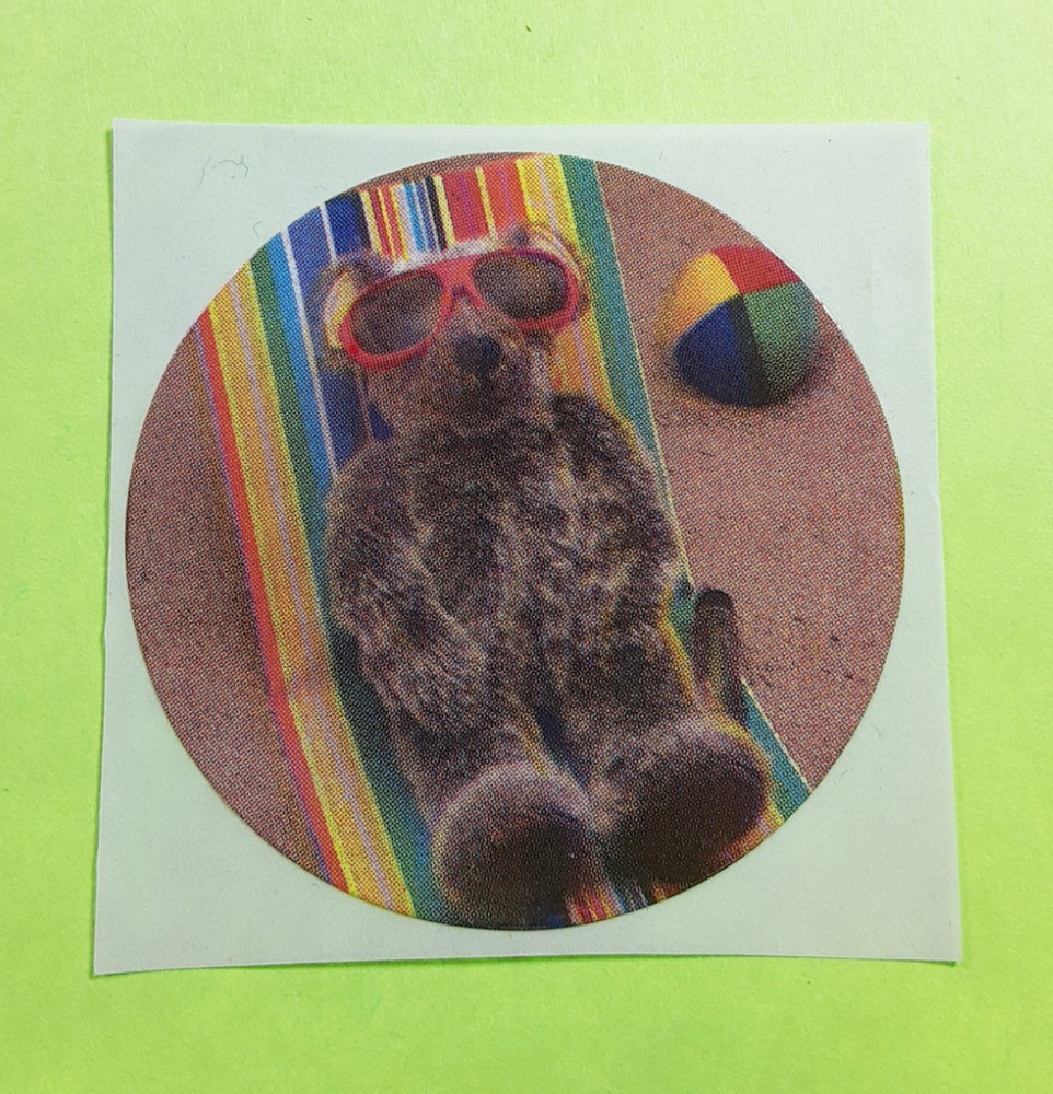 vintage 80s Exclamations! teddy bear photograph sticker module