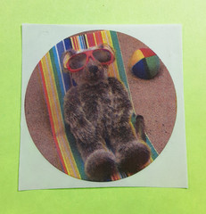 vintage 80s Exclamations! teddy bear photograph sticker module