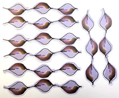 Sci Fi Space Flower Seed Pods Watercolor K&Company Cardstock 4pc Scrapbook