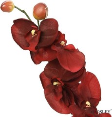 Hosley Artificail Flowers, 6 Pcs Orchid Phalaenopsis Touch Flowers 28Inch Lon…