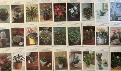 Vintage Ephemera Lot of 100 Pieces Junk Journal Book Pages Stamps Letters more