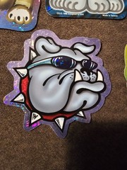 Cat And Dog Holographic Stickers Vintage 1998 CEI Made In The USA