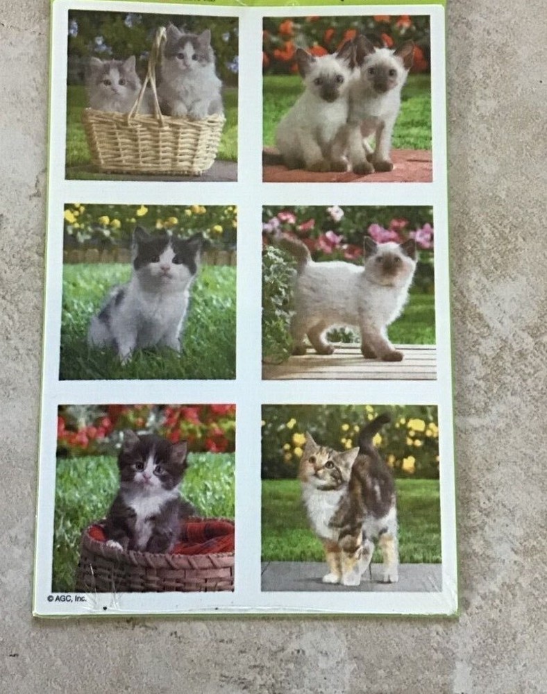 VINTAGE AMERICAN GREETINGS STICKETY DOO DA CAT PHOTOS *