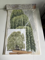 Carolyn Yovan Tatouage Weeping Willow Tree Wall Art Transfer Nature Tranquility