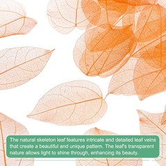 100-Pack Skeleton Leaves, Natural Rubber Tree Leaves Vein[7-9cm, Orange]