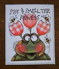 Provo Craft Scrapbooking Stickers, Prove Craft frogs, flowers and bees stickers