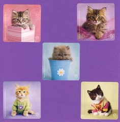 15 Rachael Hale Cats and Dogs Assorted – Large Stickers – Puppies, Kittens
