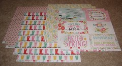 Echo Park 12×12 Double Sided Scrapbook Paper Lot of 8 ~ Spring Fling/Homegrown