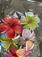 Flower Pack, Multi-Color Crafts