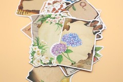 flower paper note paper | flower letter botanical themed Decorative paper set, D
