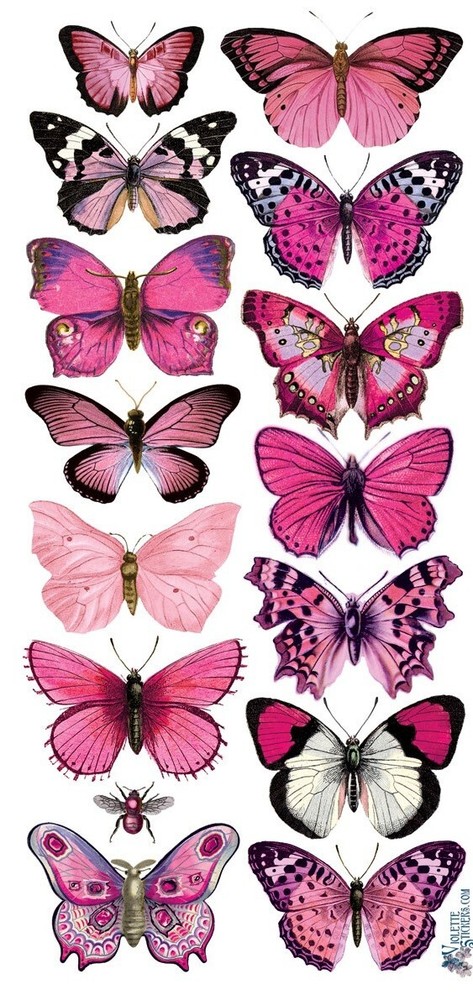 VIOLETTE STICKER – PASTEL PINK BUTTERFLIES – 8″ x 3 3/4″ (20cm x 9.5cm)
