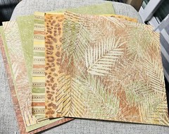 CTMH Scrapbooking & Other – Tombow-Paper-Embellishments-Tools-Ivy Lane Kit