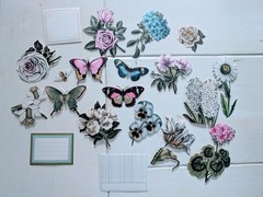Lot 115+ Anna Griffin Scrapbooking Paper Embellishments Floral Die Cut Paper