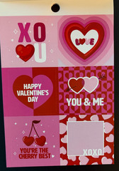 RECOLLECTIONS VALENTINE’S DAY STICKER BOOK 261 PC STICKERS 12 SHEETS ROMANCE
