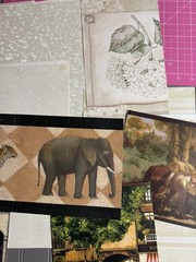 Vtge Textured Wallpaper Samples from Sample Book (10 Pieces) Set 21