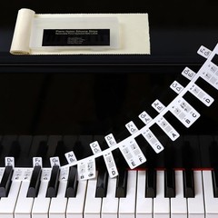 Full Size 88-Key Removable Piano Note Stickers with Dust Cover & Storage Box