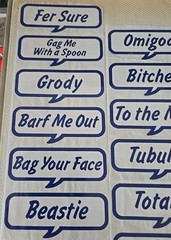 Vtg 80s Super RARE Stickers Valley Girl Grody to the Max Sandylion Chrome Foil