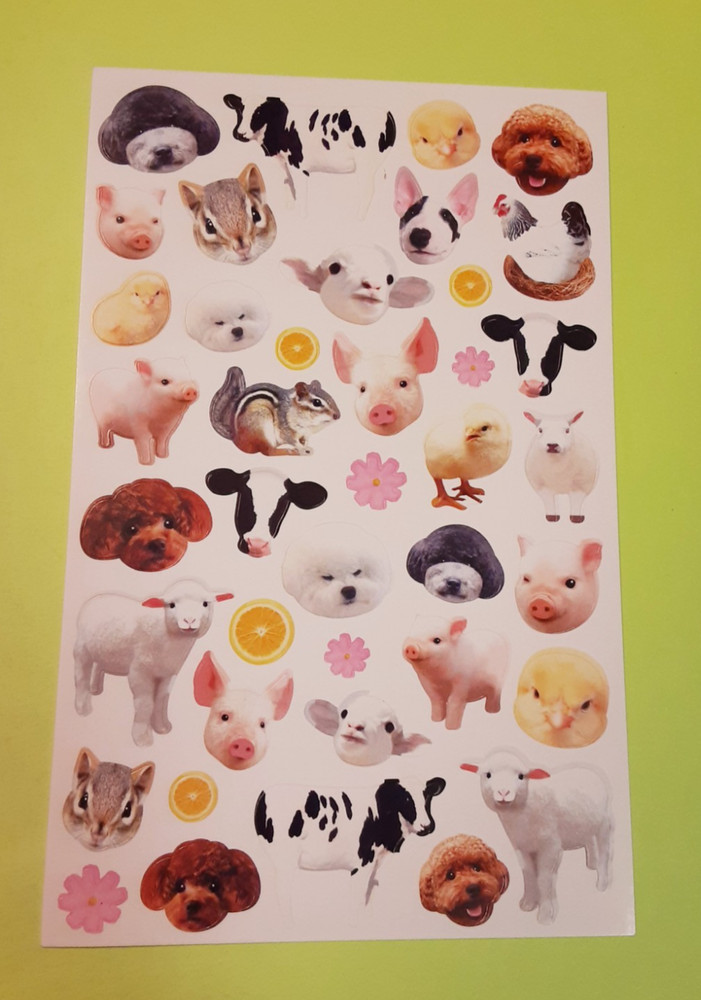 cute animals photo sticker sheet