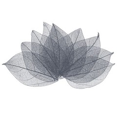 200-Pack Skeleton Leaves, Natural Rubber Leaves Vein[4-6cm, Grey]